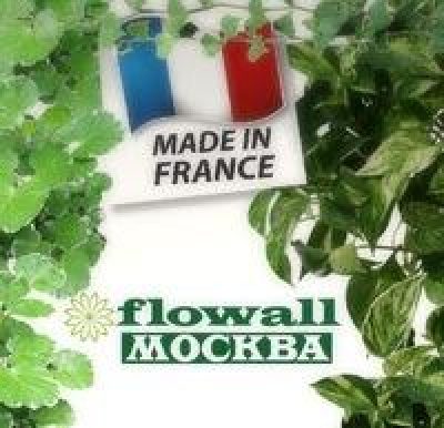 Flowall Москва