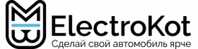 Электро-кот